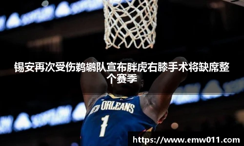 锡安再次受伤鹈鹕队宣布胖虎右膝手术将缺席整个赛季